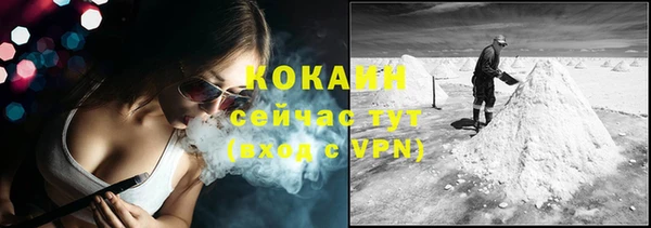 PSILOCYBIN Аркадак